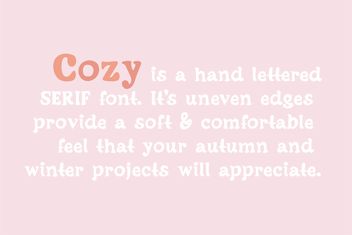 COZY a Friendly Serif .OTF Font preview 4