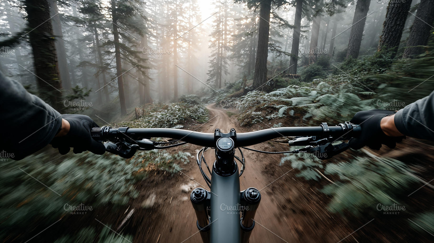 Mountain biking adventure through misty forest trail at dawn, a Sports & Recreation Photo by OSORIOartist