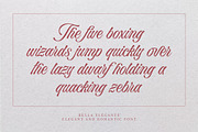 Bella Elegante - Calligraphy Font, a Script Font by Subectype Studio (Thumbnail 7 of 10)