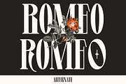 Levine, a Serif Font by Eotype Studio (Thumbnail 5 of 10)
