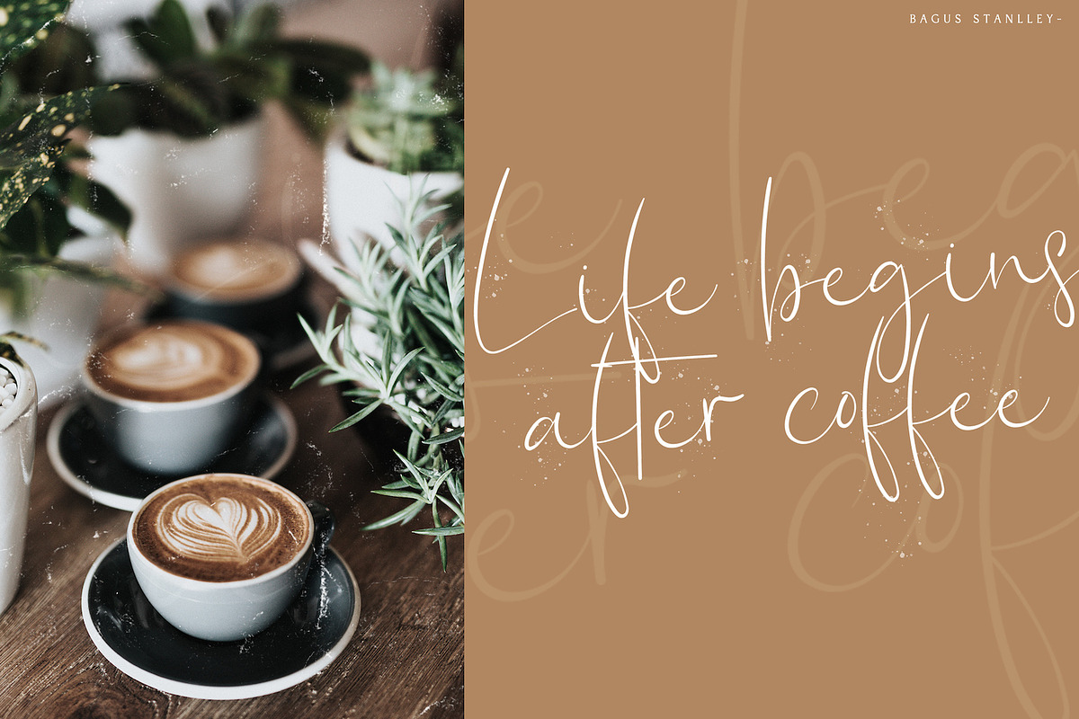 Bagus Stanlley - Stylish Script Font, a Script Font by StringLabs (Photo 9 of 11)