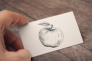 Apples. Sketches and patterns, an Illustration by Canatic (Thumbnail 6 of 17)