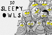 30 Sleepy Owls, a Graphic by GODZILLARGE (Thumbnail 1 of 5)