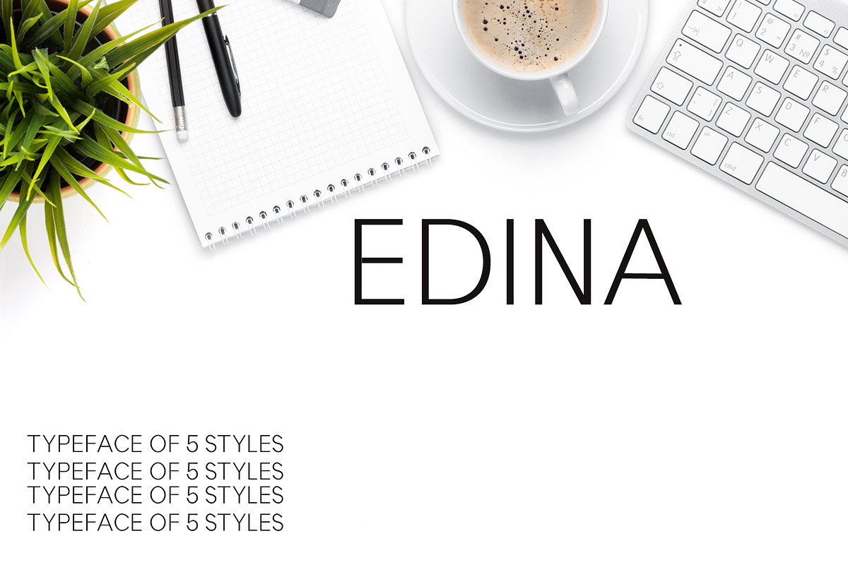 Edina Sans Serif Minimal Font Pack