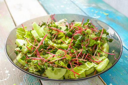 Fresh green salad with red radish microgreens and vegetable mix. Healthy food a, a Food & Drink Photo by Eugene_Photo