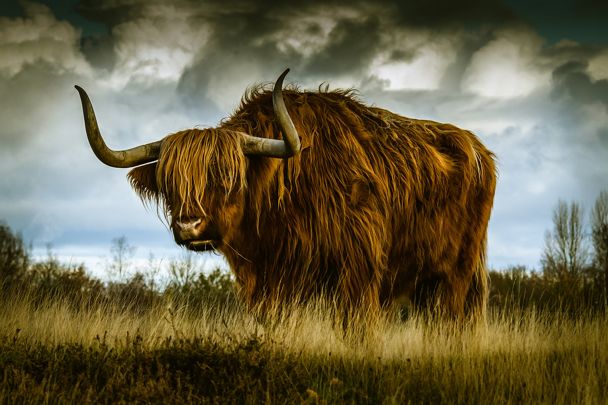 300 Professional Lightroom Presets, an Action Add-On by Madison Colt Studios (Photo 28 of 29)