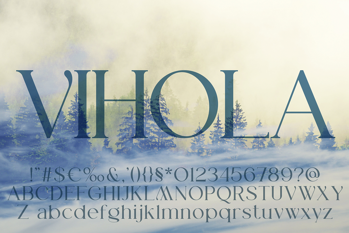 Vihola Font family, a Serif Font by vlad.berla (Photo 2 of 8)
