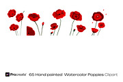 Watercolor Poppy Flowers, a Decorative Illustration by crafty (Thumbnail 11 of 11)