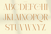 Glavore | Elegant Serif Font, a Serif Font by Mahesans Co (Thumbnail 5 of 9)