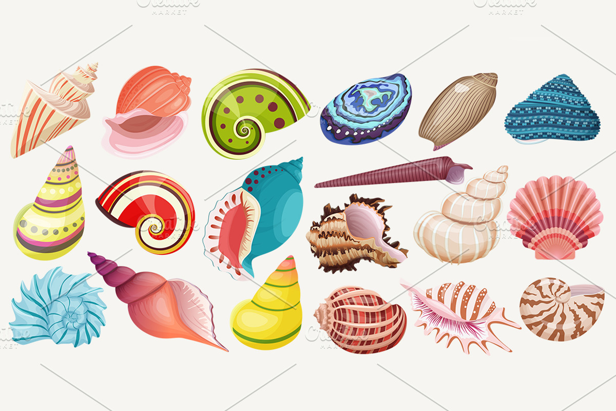 Seashells set & patterns collection, a Graphic by Lemberg Vector