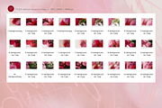 Dreamy Romantic Floral Backgrounds, a Background Graphic by eclosque (Thumbnail 26 of 27)