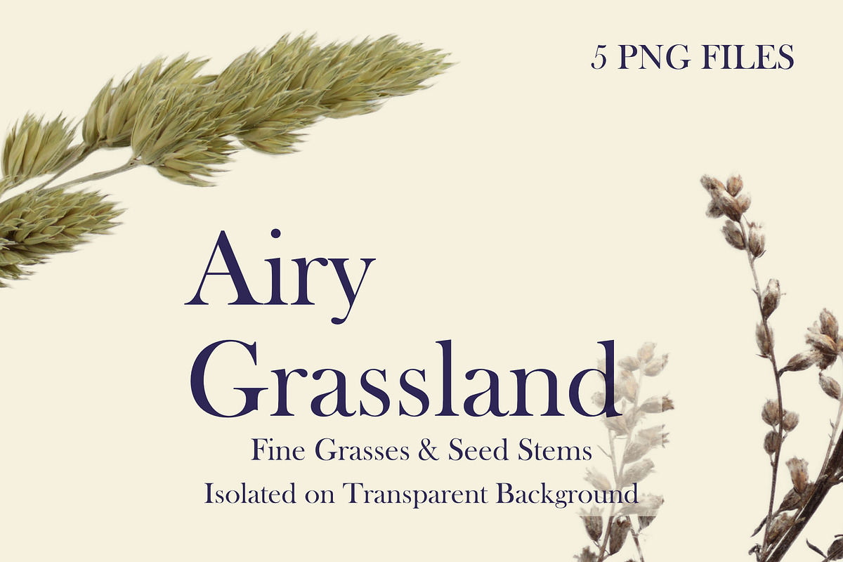 Airy Grassland — Fine Grasses & Seed, an Object Graphic by Aga Silva (Photo 4 of 5)