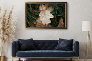 Autumn nature photography set, a Nature Photo by pictures for you (Thumbnail 20 of 22)
