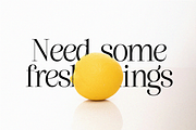 Aveline Radiant, a Serif Font by InkwellTypeCo (Thumbnail 4 of 14)