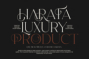 Kodam Stylish Serif Font, a Serif Font by Graphicxell (Thumbnail 3 of 8)