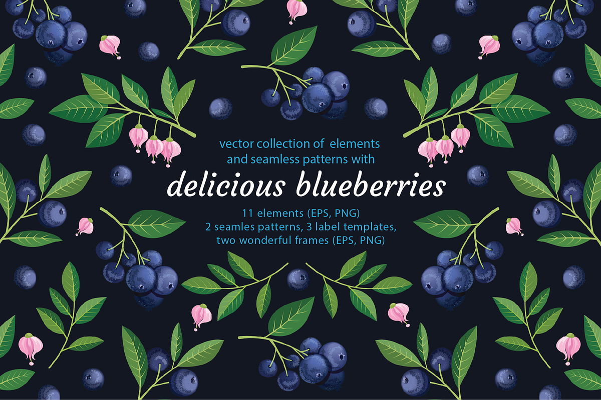 Delicious blueberries. Vector set., a Graphic by natamastery (Photo 1 of 7)