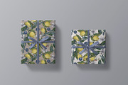 Lemons and grass Solomon seal, an Illustration by PASHKOVA (Thumbnail 3 of 22)