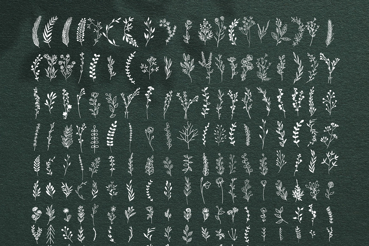 170 Wildflowers Line Art Botanicals, an Illustration by LifestyleCraftCo (Photo 3 of 7)