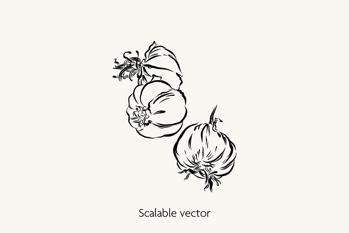 Herbs & Spices Vector Bundle, a Food Illustration by Little Gremlin (Photo 5 of 10)