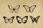 Vintage Bee Butterfly Illustrations, an Icon by Hatch Design Workshop (Thumbnail 5 of 8)