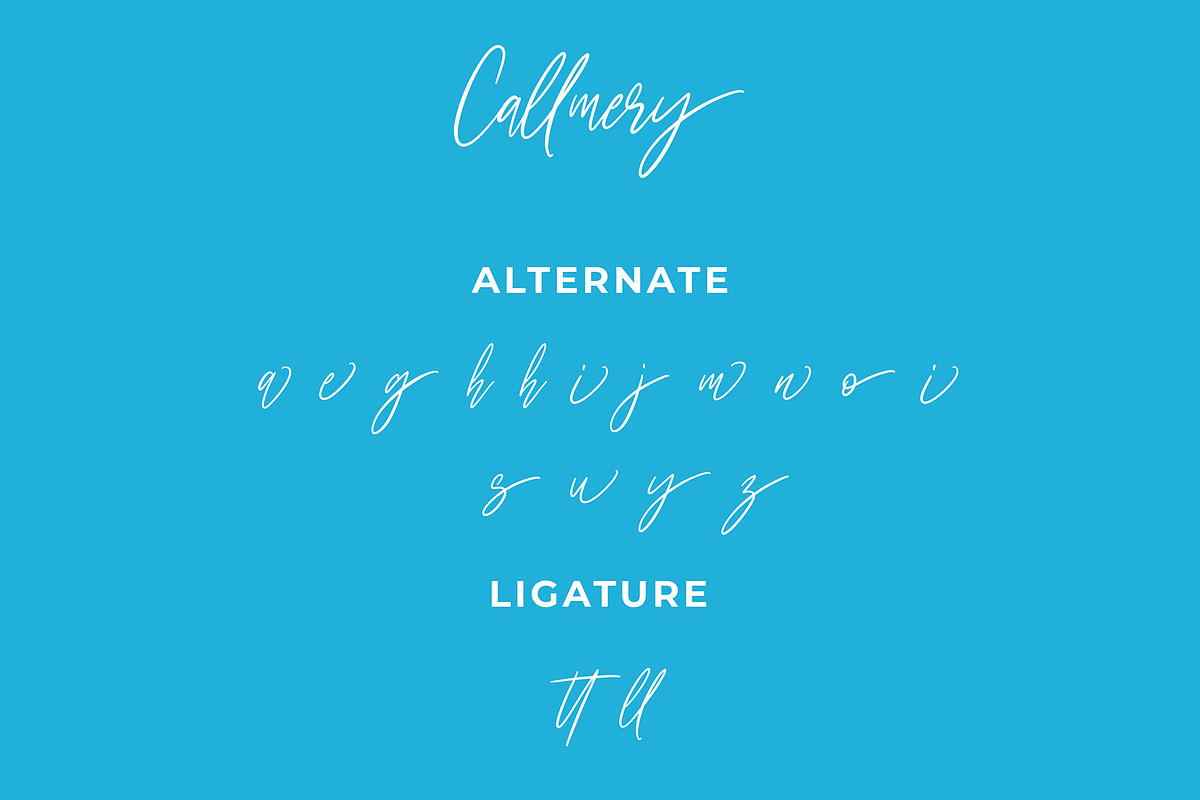 Callmery Signature Script Font | Creative Market