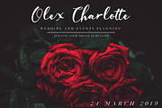 Giselle - Elegant Script Font, a Script Font by Nissa Studio (Thumbnail 7 of 12)