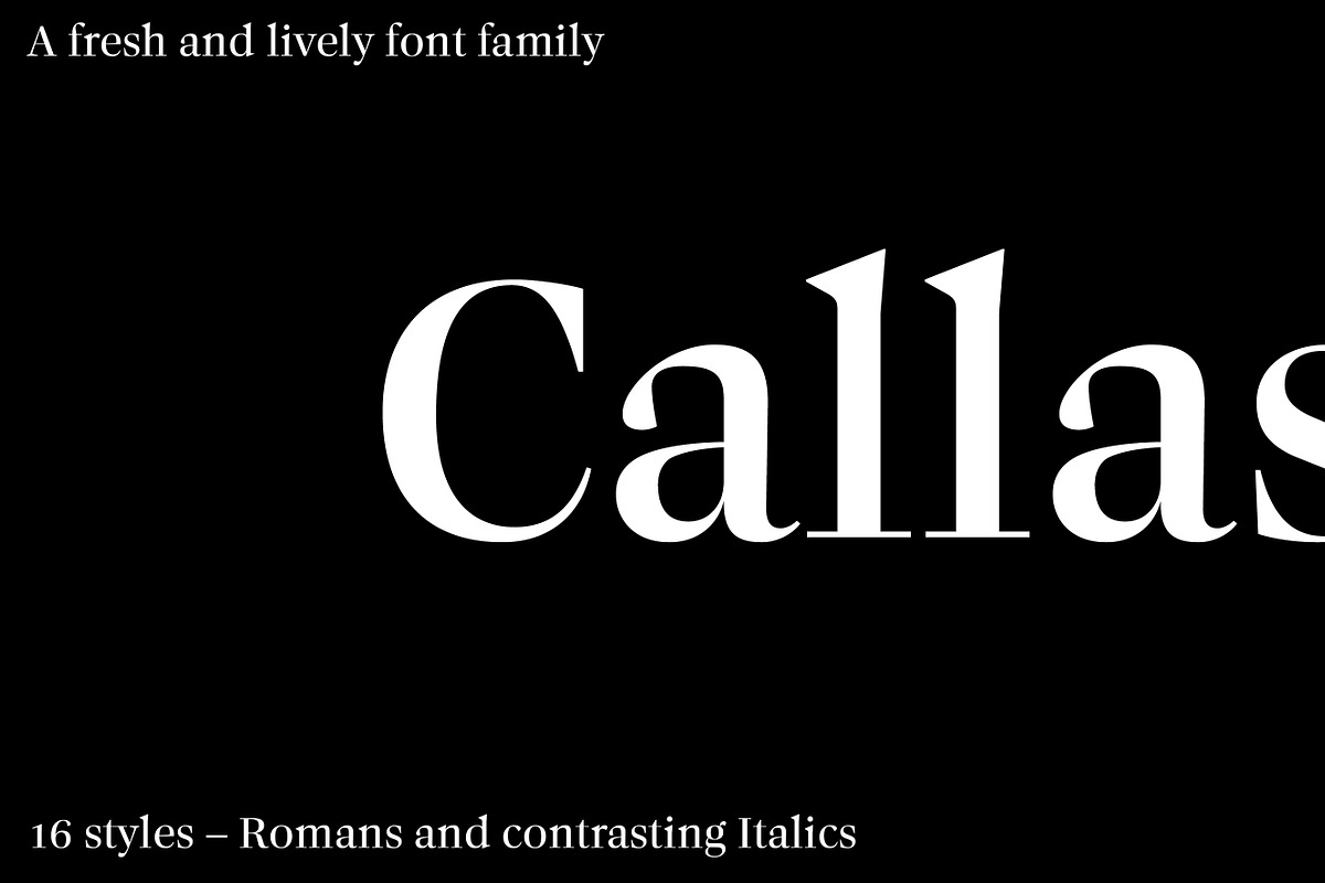 Callas, a Serif Font by Hoftype (Photo 1 of 14)