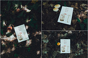 Mushroom Collection Vol. 1 - Mockups, a Print Template by Wild Joy Studios (Thumbnail 5 of 5)