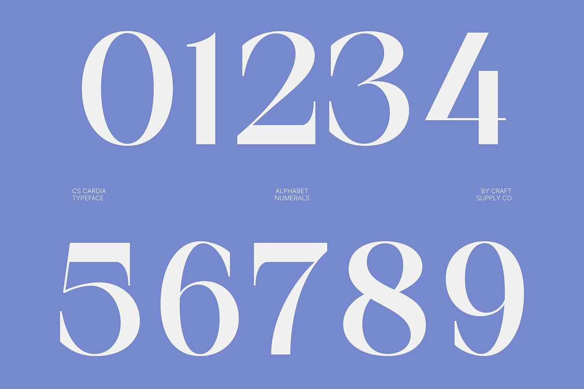 CS Cardia – Elegant Sans Serif, a Sans Serif Font by Craft Supply Co. (Photo 6 of 8)