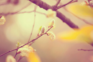 Nature photography stock photograph