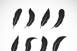 Vector Group Of Black Feather.