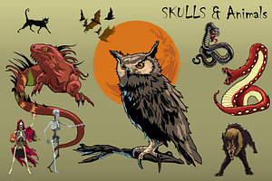 Skulls and Animals