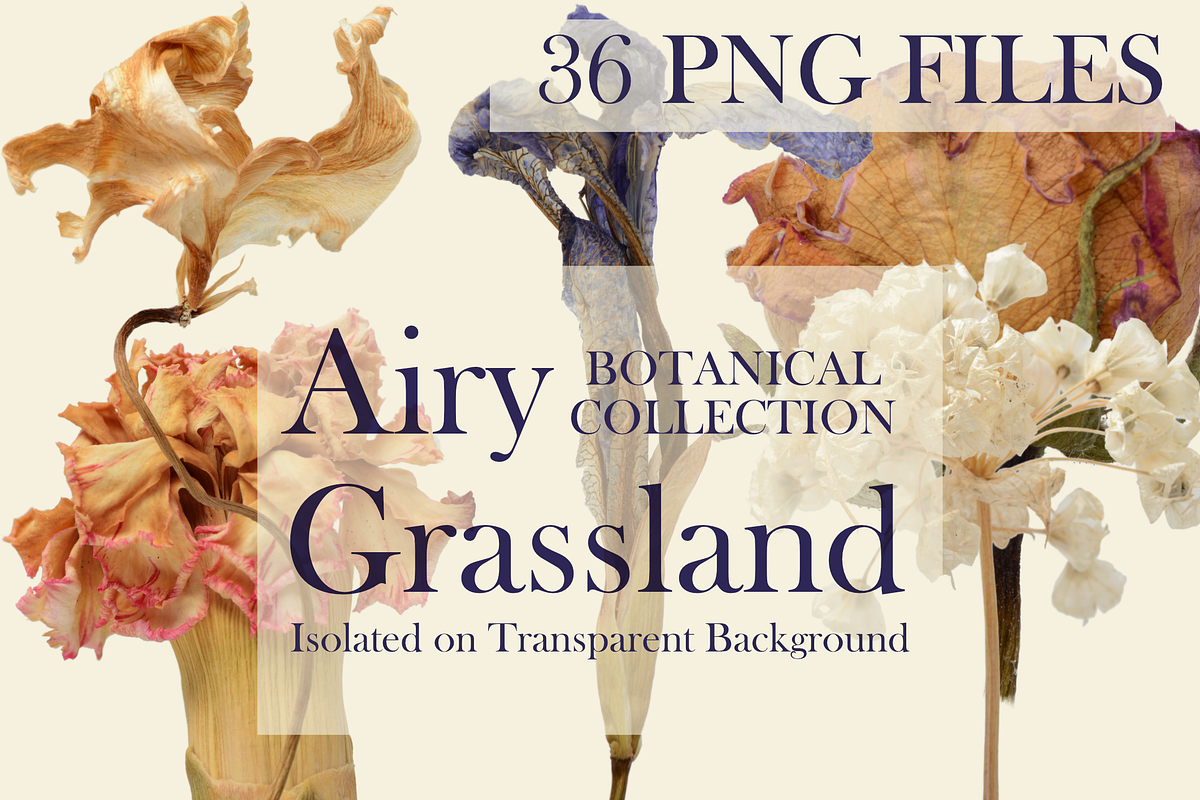 Botanical PNG Elements – 36 Meadow P, an Object Graphic by Aga Silva (Photo 12 of 28)
