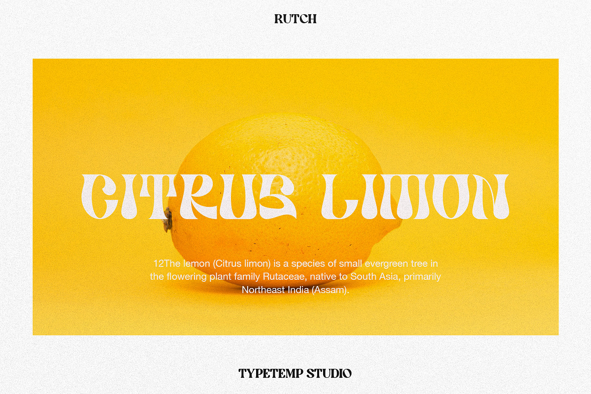 Rutch Display Font, a Serif Font by Typetemp Studio (Photo 3 of 17)