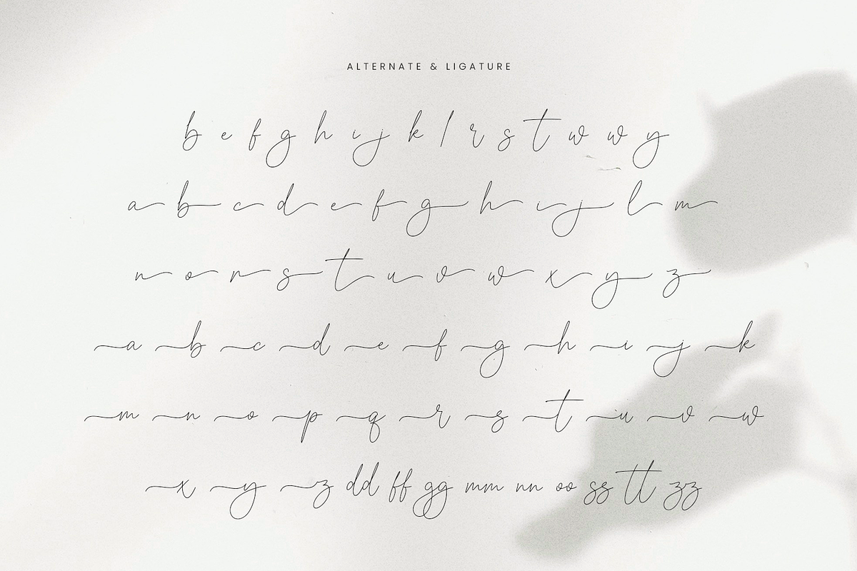 Magdalena Signature, a Font by Mozatype (Photo 9 of 10)