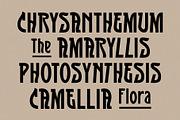 SFC Flosra - Folkcraft Display, a Slab Serif Font by Saera Type (Thumbnail 5 of 12)
