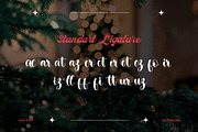 Slack On Christmas - Script, a Script Font by Lettermine (Thumbnail 8 of 10)