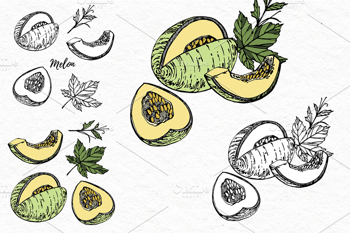 Nuts and snacks, a Food Illustration by Ann Astro (Photo 21 of 24)