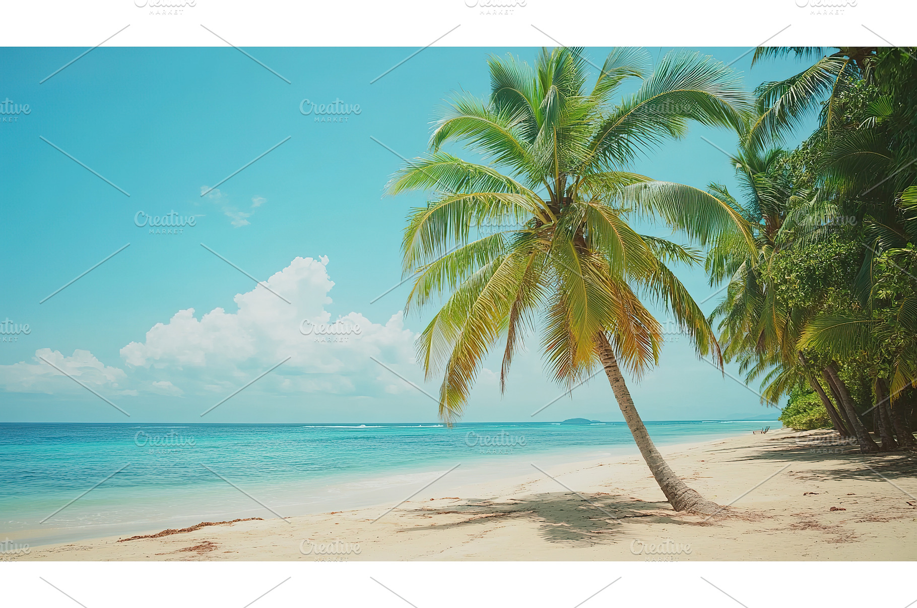 Tropical beach with palm trees and, a Nature Photo by Lermont51