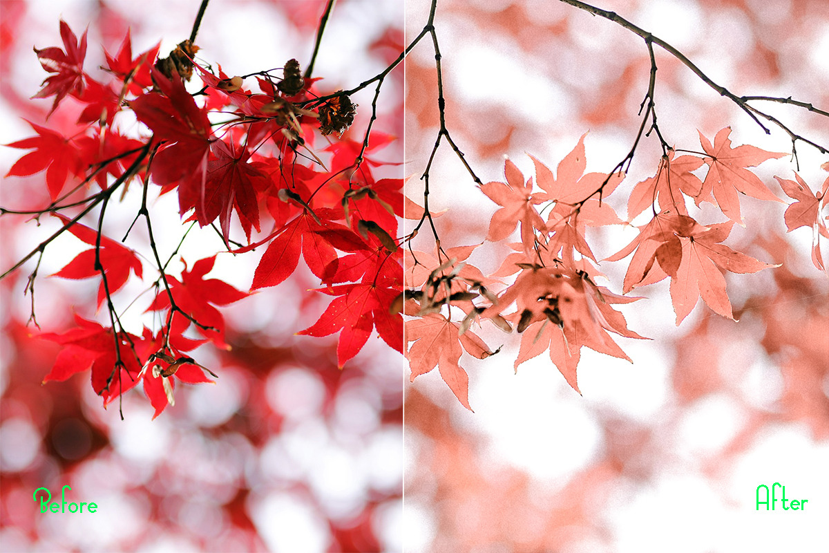 Autumn Photoshop Actions 110 Bundle, an Action Add-On by ARTNEST (Photo 8 of 11)