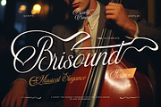 Brisound, a Script Font by Burntilldead (Thumbnail 1 of 12)