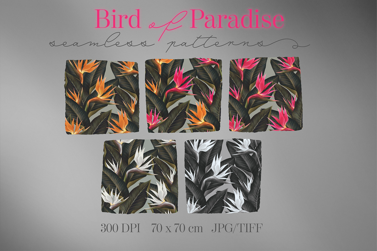 Bird of Paradise patterns, a Pattern Graphic by Bigio Designs (Photo 3 of 7)