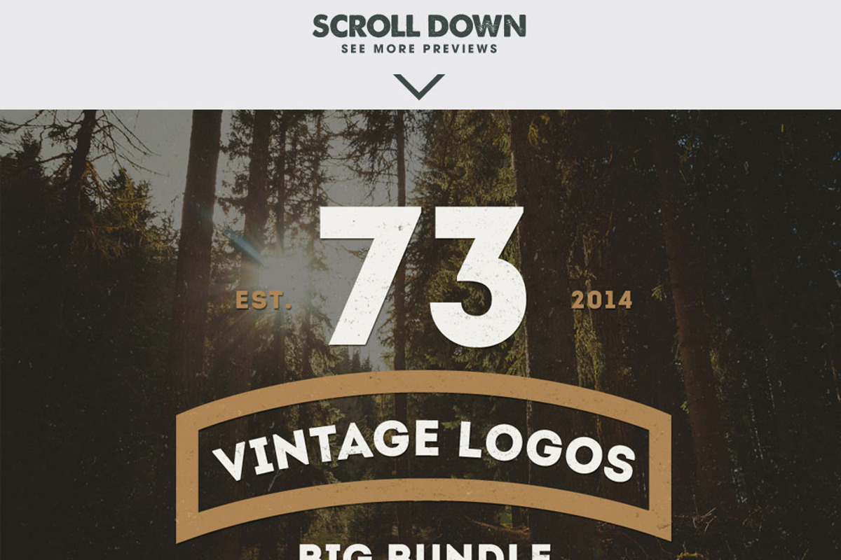 MASSIVE BUNDLE 576 Vintage Logos, a Branding & Logo Template by Design District (Photo 13 of 14)