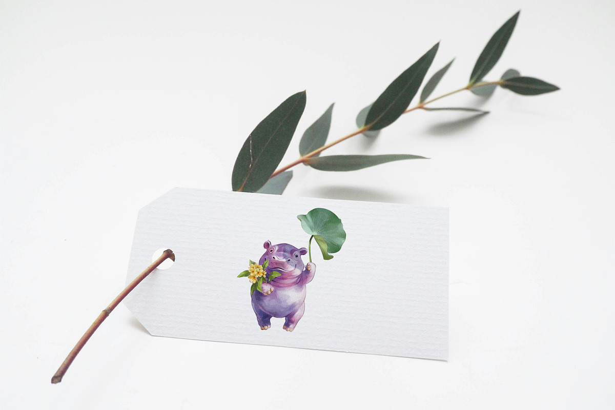Birthday Hippo – Watercolor Clipart, an Illustration by IrynaPanashii (Photo 9 of 9)