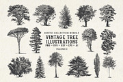 Vintage Tree Vector Bundle Vol. 2, an Object Illustration by Seaquint (Thumbnail 1 of 5)