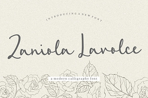 Zaniola Lavolce - Modern Calligraphy