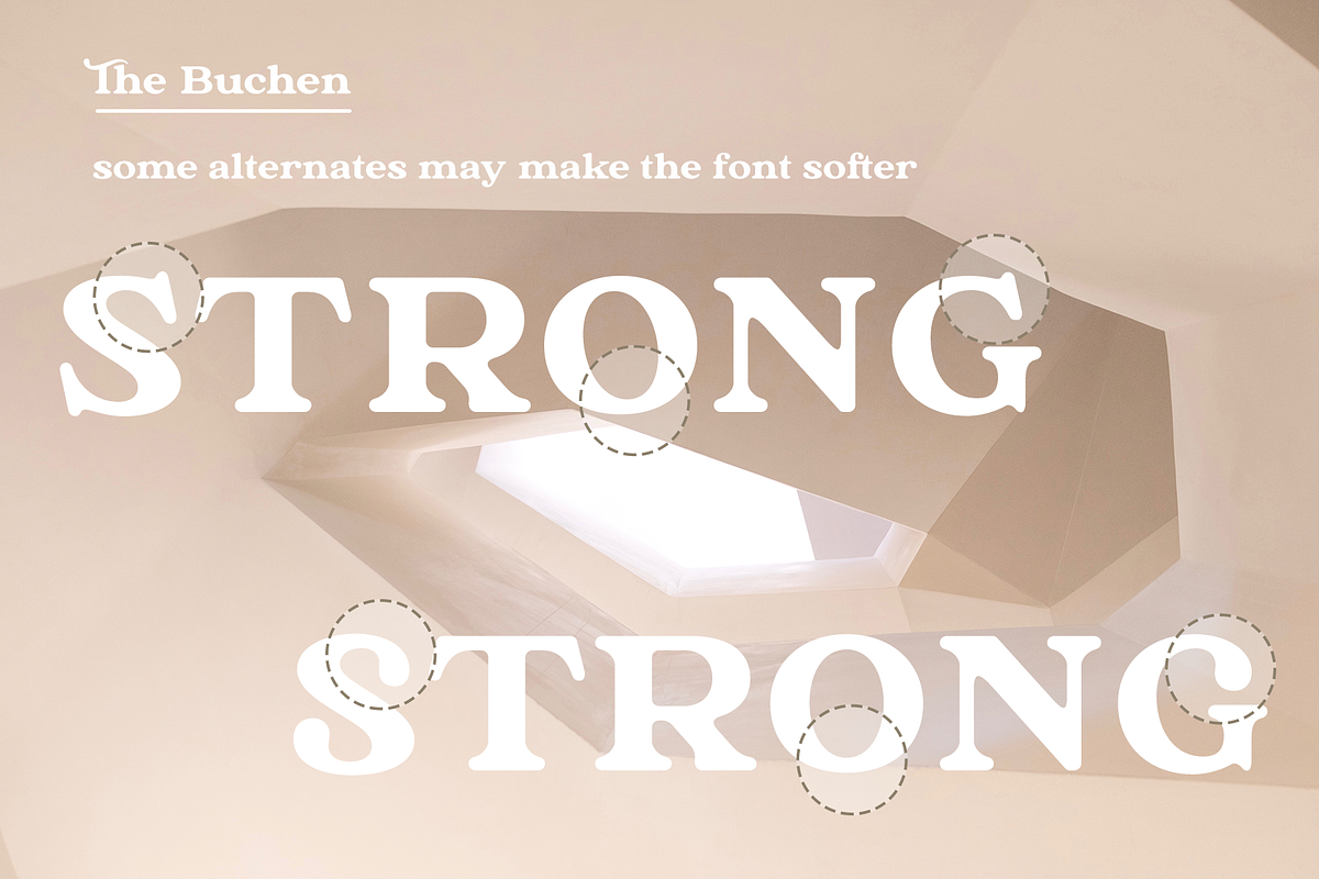 The Buchen, a Serif Font by Larin Type Co. (Photo 11 of 13)