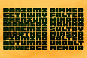 Fierd Font Duo, a Sans Serif Font by Locomotype (Thumbnail 7 of 10)