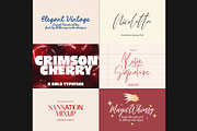 Modern font bundle 99% off!, a Serif Font by BilberryCreates (Thumbnail 4 of 28)
