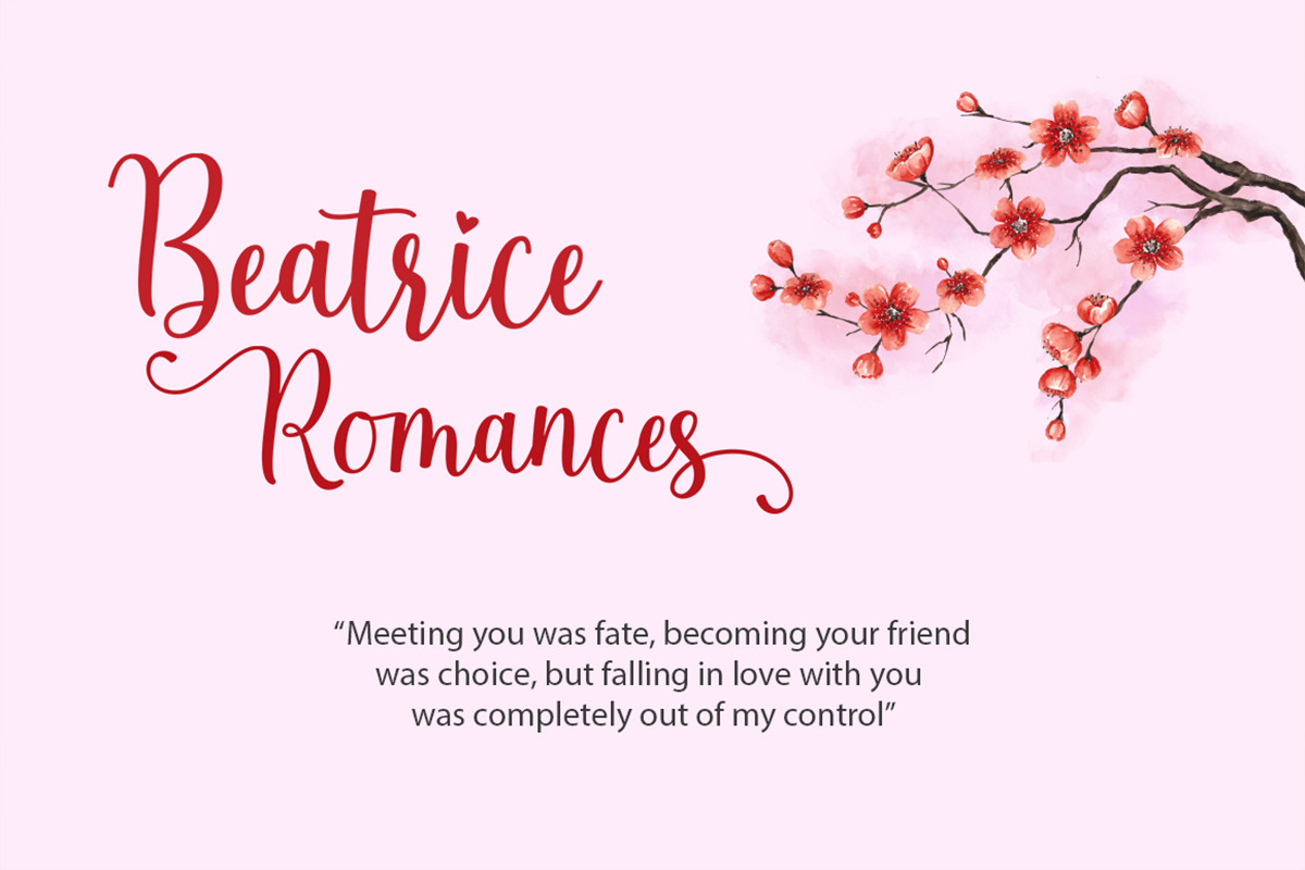 The Beautiful Night Script & Extras, a Script Font by Attract Studio (Photo 3 of 10)